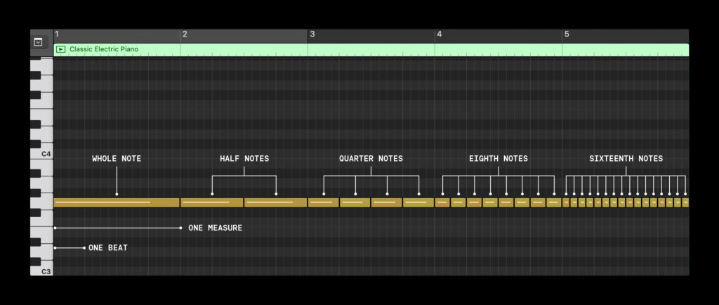 The length of different notes, demonstrated on the piano roll